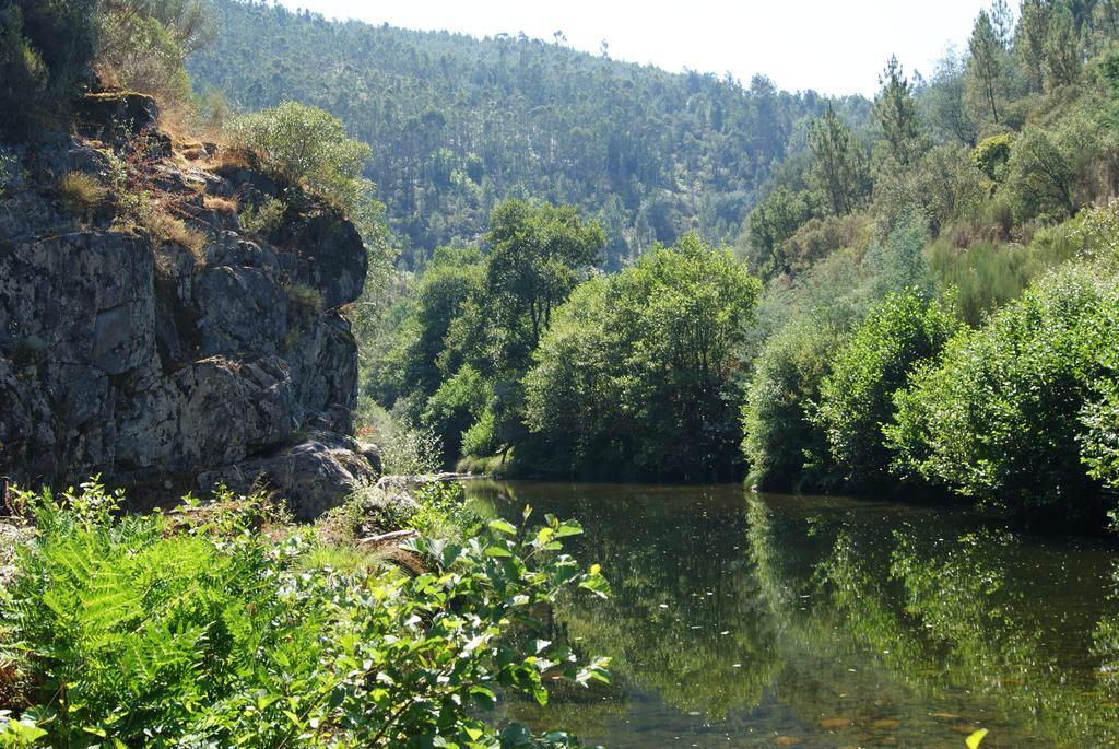 Casa Das Oliveiras Colmeal  Номер фото